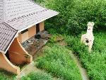 Дом в Киевской области,Макаровский район