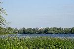 Земля в Киевской области,Вышгородский район