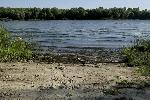 Земля в Киевской области,Вышгородский район